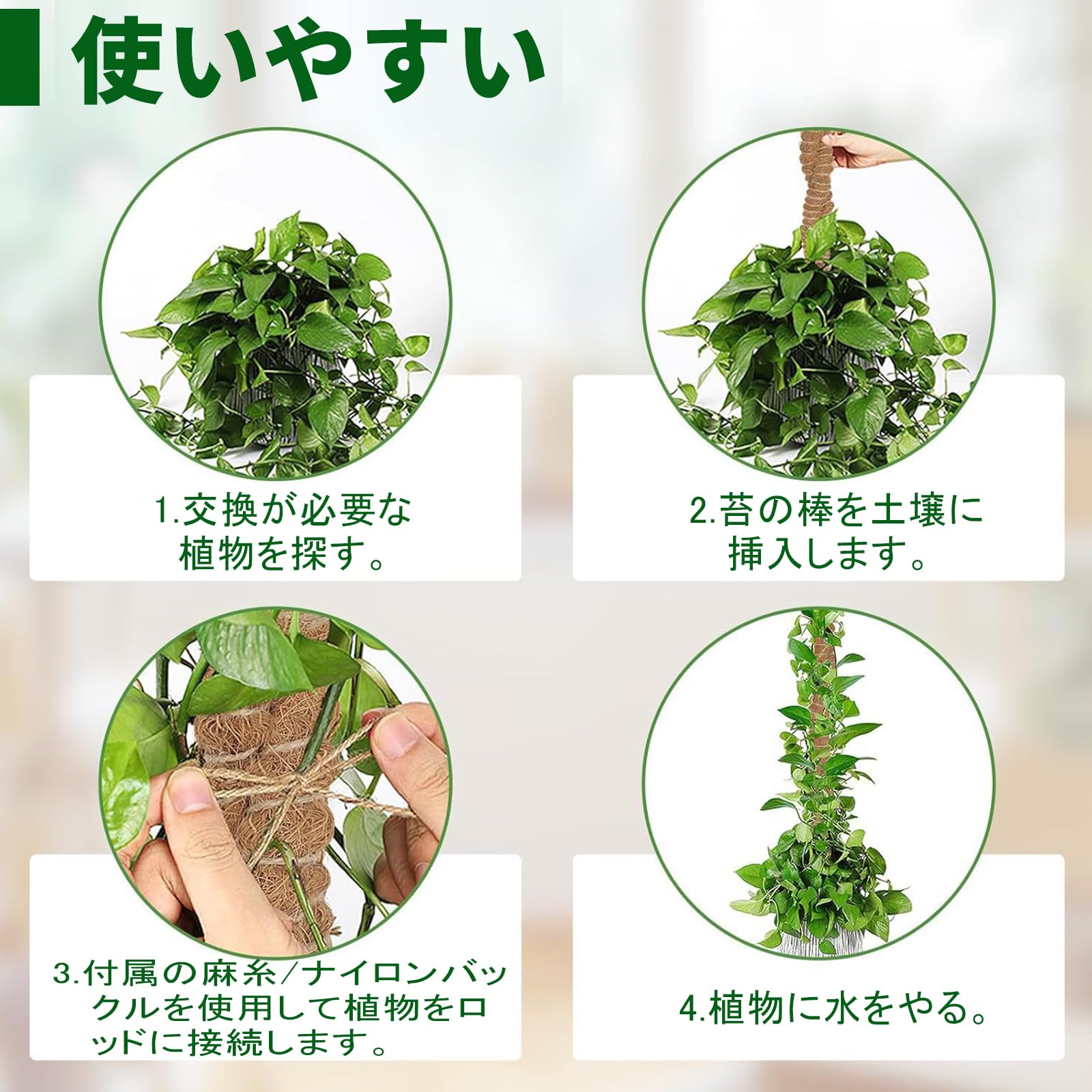Amazon | 観葉支柱 モンステラ 支柱 園芸 ヘゴ支柱 2本セット 植物